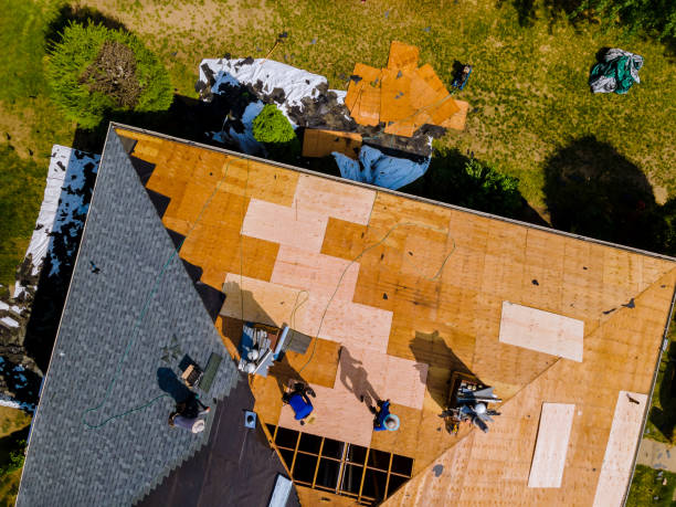 Quick and Trustworthy Emergency Roof Repair Services in Freeport, TX