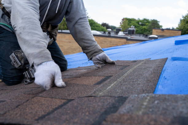 Roof Gutter Cleaning in Freeport, TX